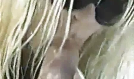Dito skype amatoriale video hard bruna sexy