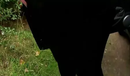 Questo È Quello Che Succede A Pranzo film hard privati In Ufficio