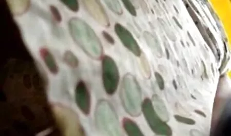 Esame di salute un giovane dai capelli video casalinghi hard castani da un ginecologo
