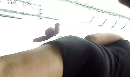 Cazzo Bavarka bella film pornografici amatoriali nel villaggio