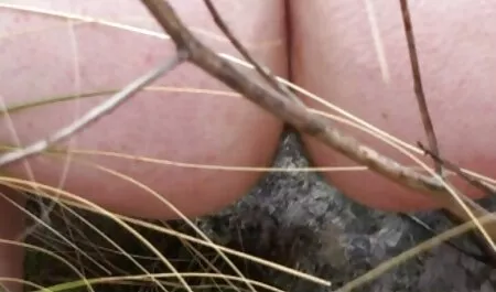 Ora film porno amatoriali italiani completi taglierà quell'uomo in breve tempo e irrigerà i suoi partner di mezza età ma tonica con il nettare